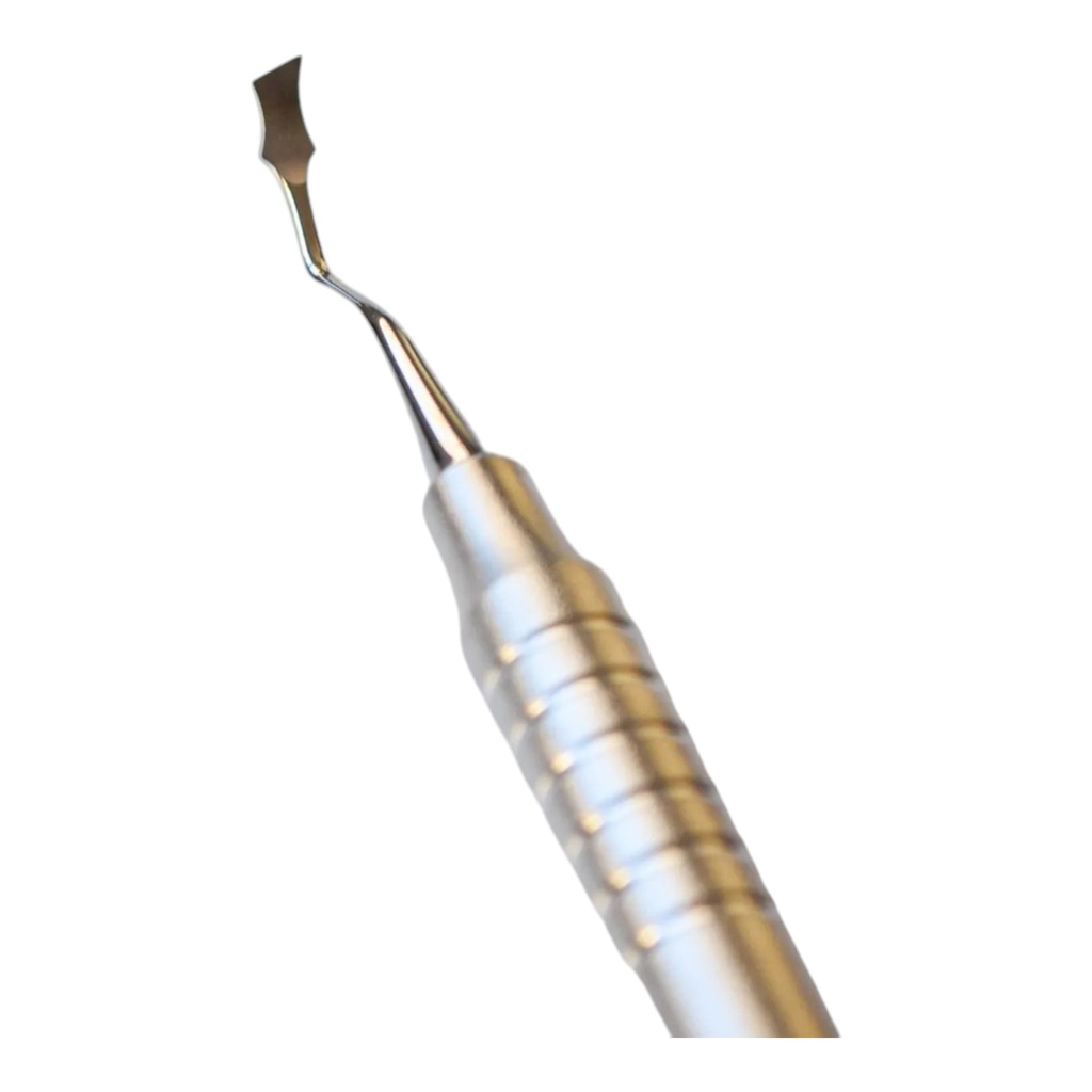 CINCEL DE RHODES BACKACTION
