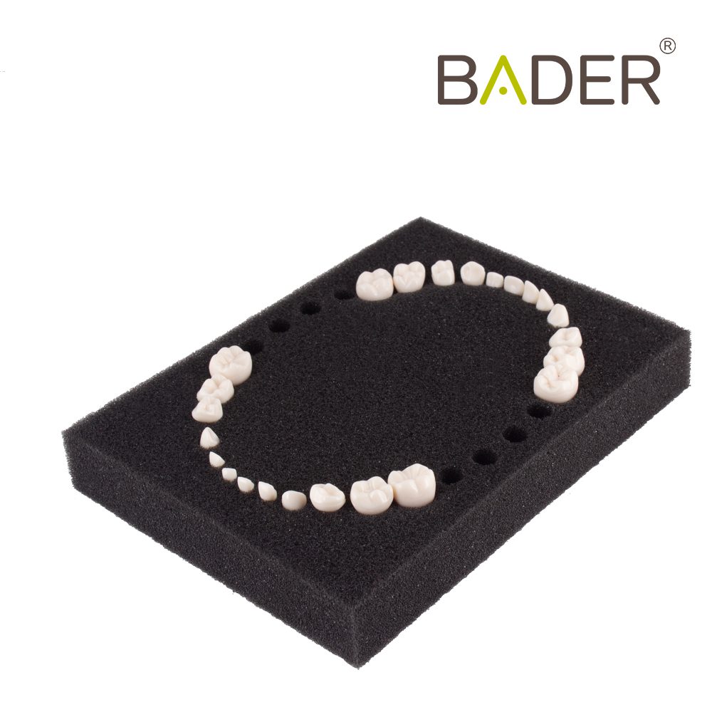 SET 24 DIENTES REPOSICIÓN TIPO AK-6 NIÑO
