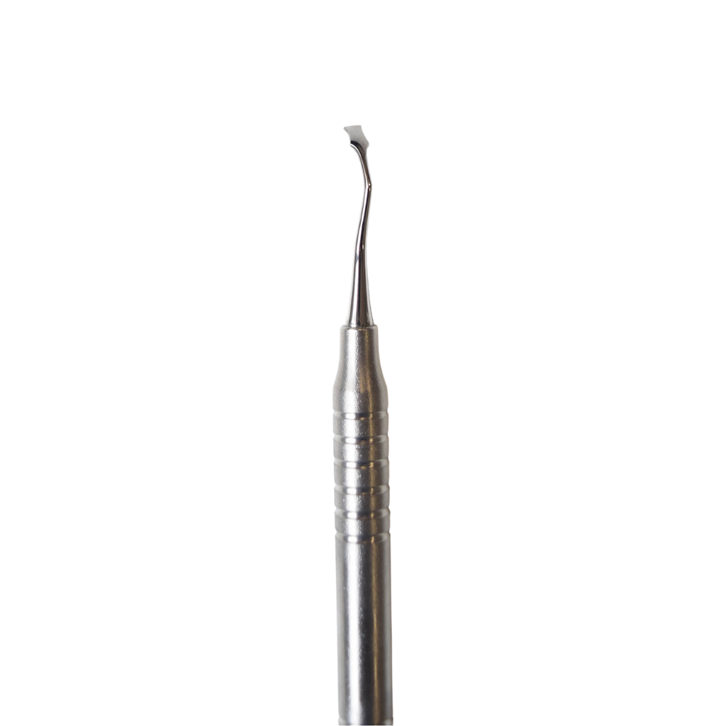 CINCEL DE RHODES BACKACTION