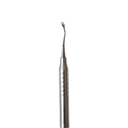CINCEL DE RHODES BACKACTION