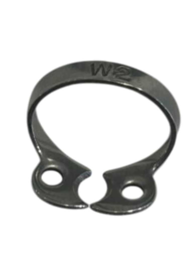 CLAMP W2