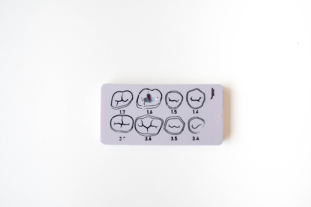 PLACA DE PRÁCTICA MULTICAPA PARA PREPARACIONES DENTALES