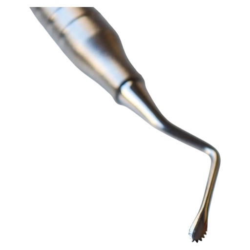 [17/4095] CURETA PARA HUESO DENTADA