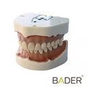 [0905000-5UD] TIPODONTO CLÓNICO FRASACO ANA-4 COMPATIBLE